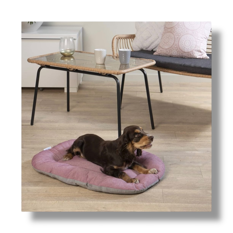 Brauner Dackel liegt auf rosa Hundebett aus recyceltem Material aus Italien