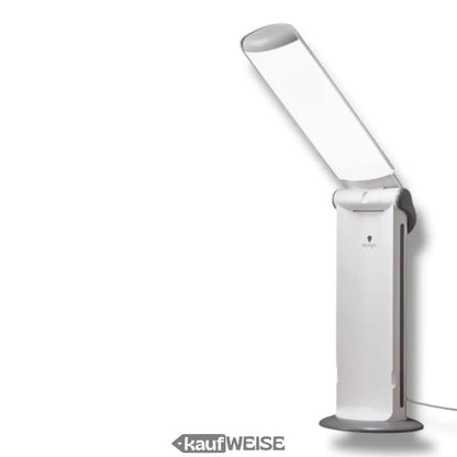 Weiß-graue verstellbare Schreibtischlampe Daylight Twist 2 mit CRI 95 E35070