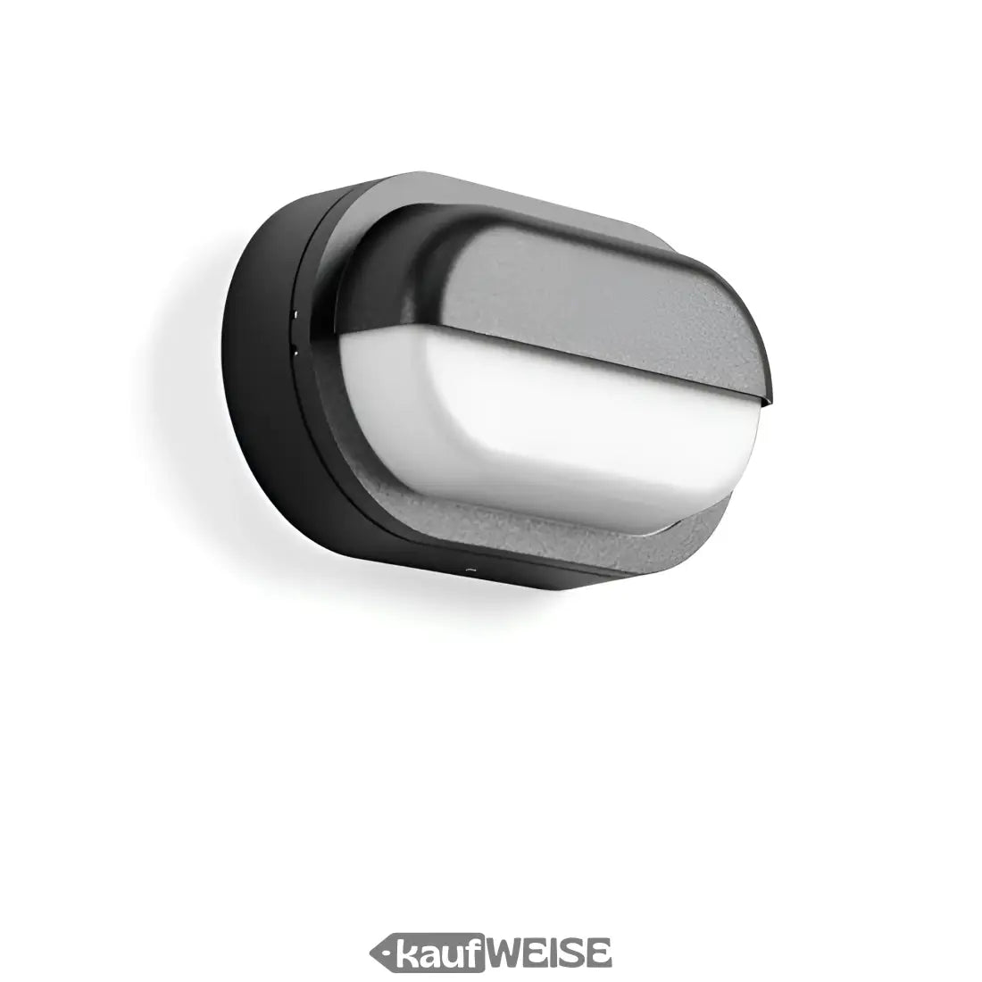 Schwarze und silberne moderne Wand- und Deckenleuchte RZB Alu-Lux Oval LED