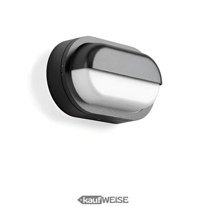 Schwarze und silberne moderne Wand- und Deckenleuchte RZB Alu-Lux Oval LED